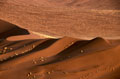  Désert du Namib en Namibie 