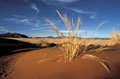  Désert du Namib Namibie 