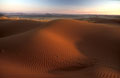  Désert du Namib Namibie 