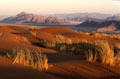  Désert du Namib en Namibie 