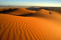  Désert du Namib en Namibie 