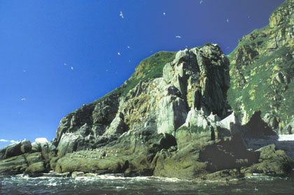 Ile de Talan/2