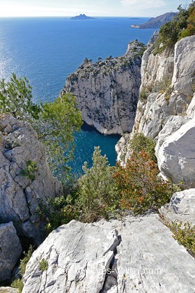 Pointe de l'îlot et île de Jarre.