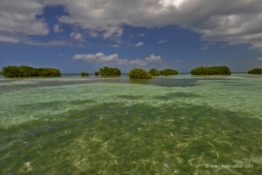 Guadeloupe. Grand Cul de Sac marin