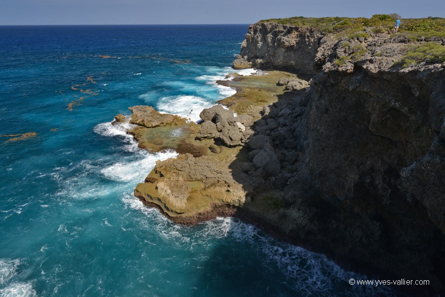 Guadeloupe. Grande falaise.
