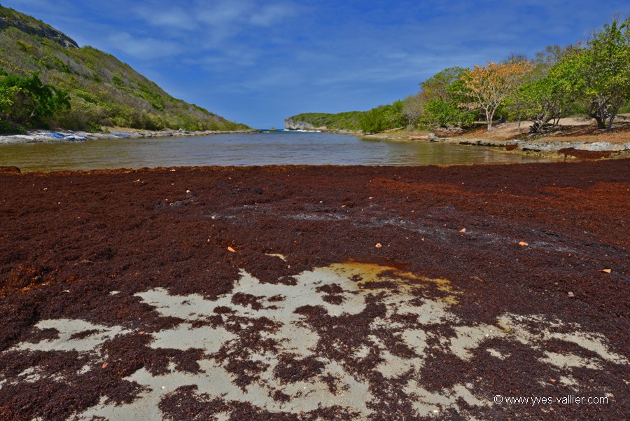 Guadeloupe. Lagon de la Porte d'Enfer.