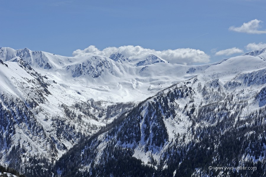 Si cette image vous intresse, contactez-moi