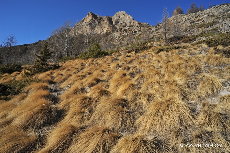 Hiver en Haute Vallée du Var