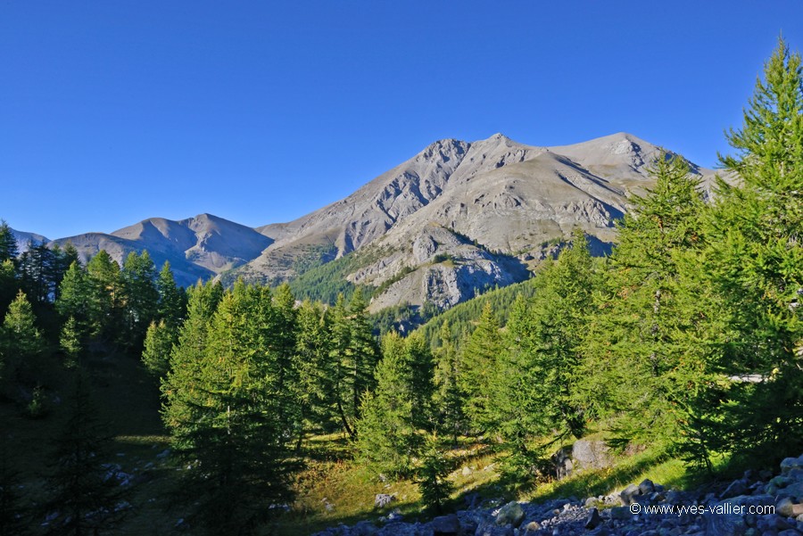 Si cette image vous intresse, contactez-moi