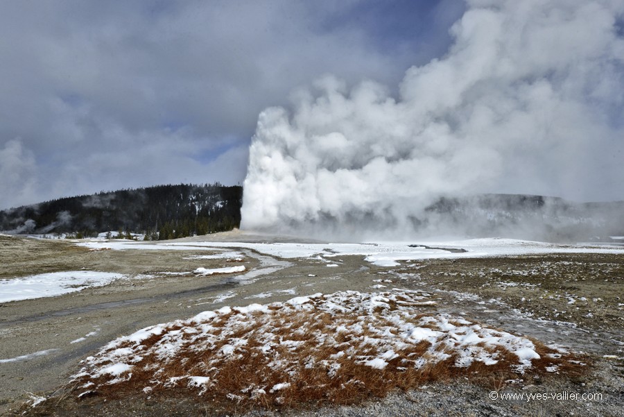 Old Faithful