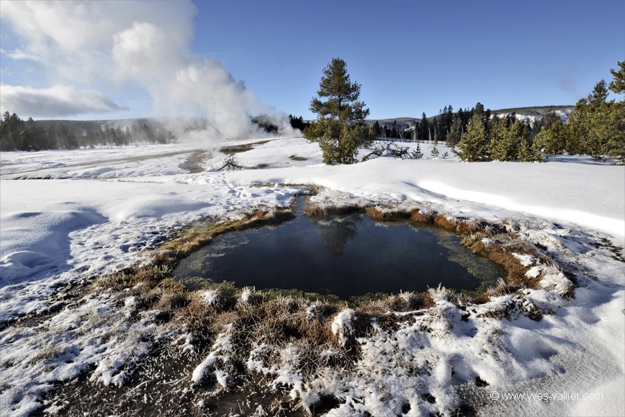 Old Faithful