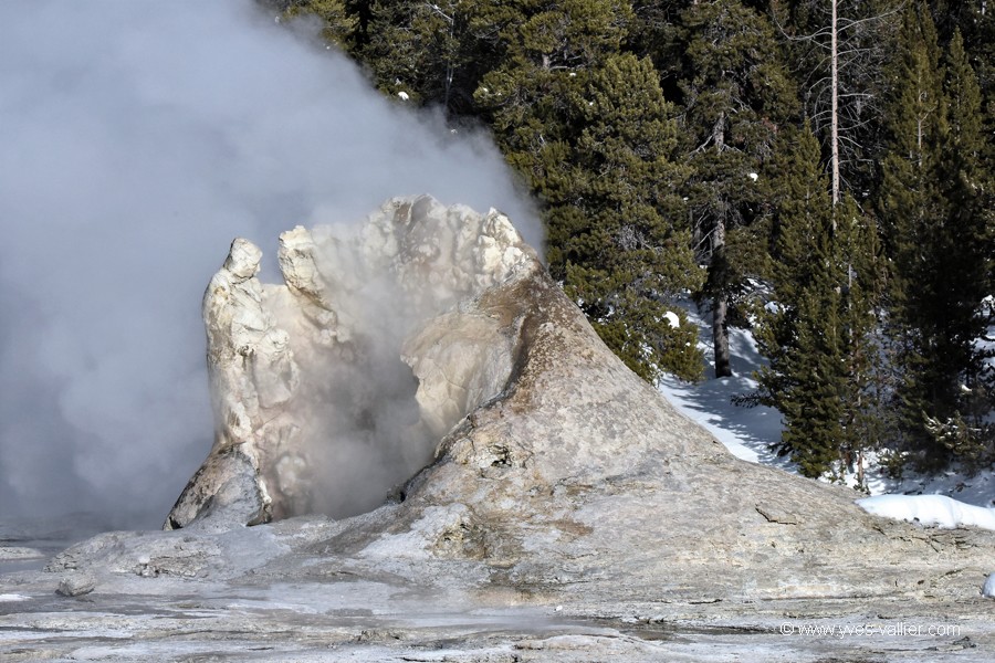 Old Faithful