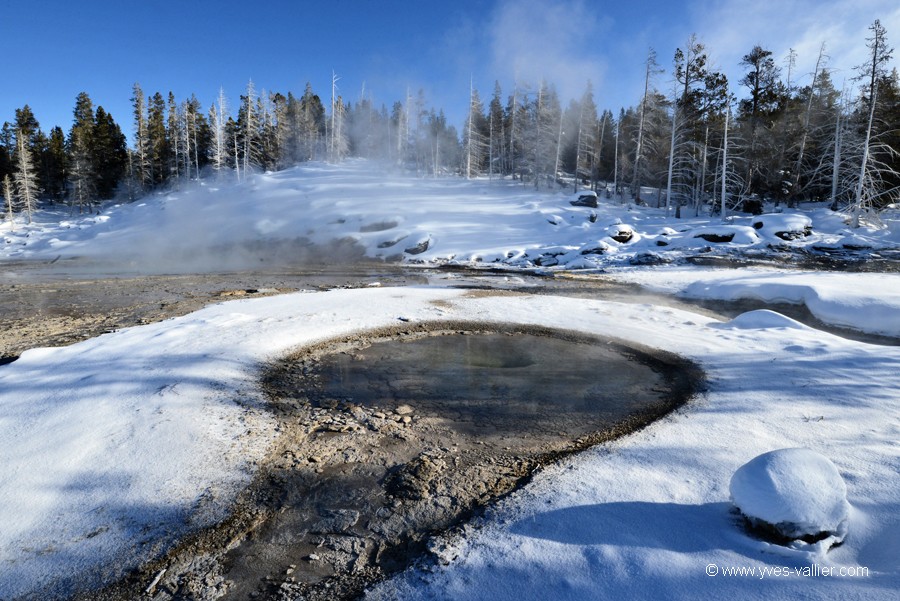 Old Faithful