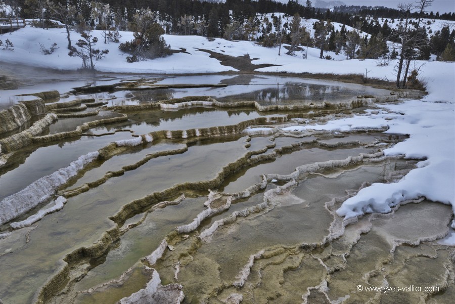 Mammoth Hot Springs
