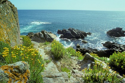 Belle île en Mer