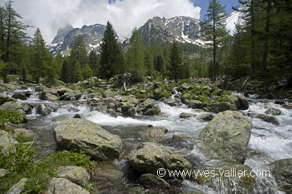 Mercantour3