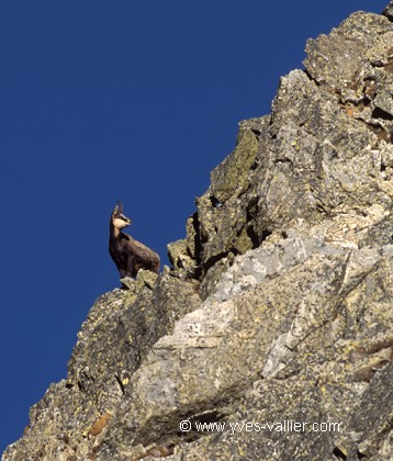 Mercantour6