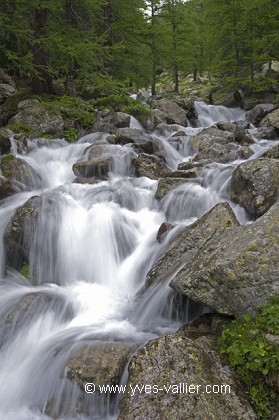 Mercantour8