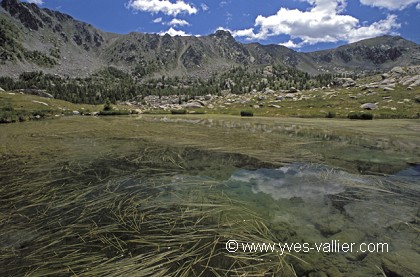 Mercantour 39