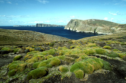 Paysage des Iles Falkland