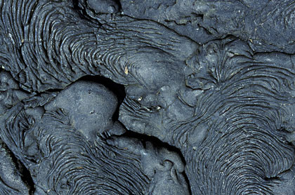 Lave torsadée