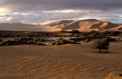 Désert du Namib/12