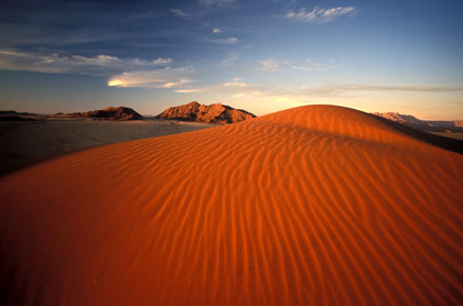 Désert du Namib/46