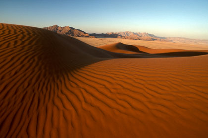 Désert du Namib/48