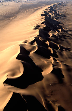 Désert du Namib/5