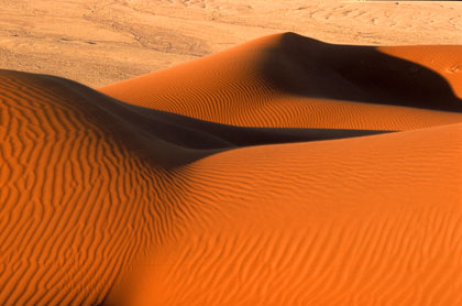 Désert du Namib/54