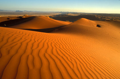 Désert du Namib/55