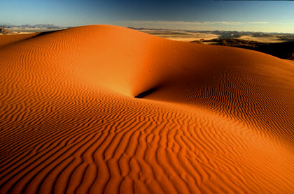 Désert du Namib/56