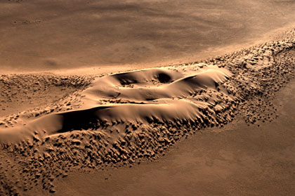 Désert du Namib/8